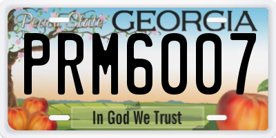 GA license plate PRM6007