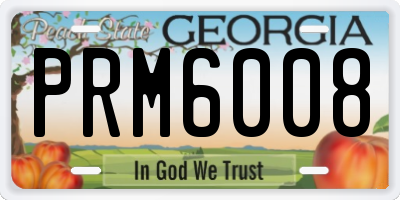 GA license plate PRM6008