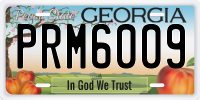 GA license plate PRM6009