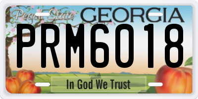 GA license plate PRM6018