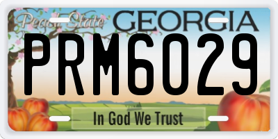 GA license plate PRM6029