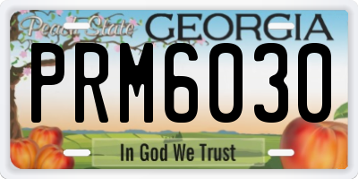 GA license plate PRM6030