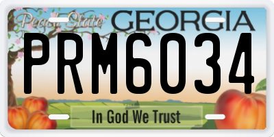 GA license plate PRM6034