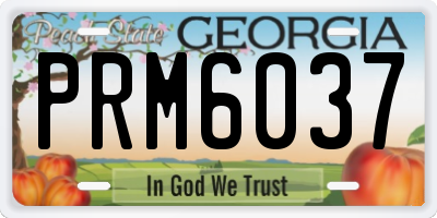 GA license plate PRM6037