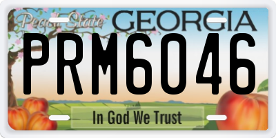GA license plate PRM6046