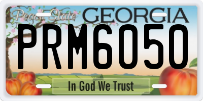 GA license plate PRM6050