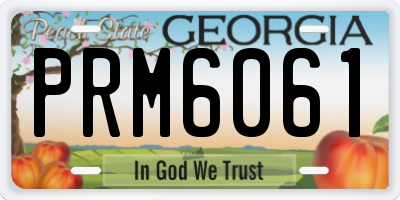 GA license plate PRM6061