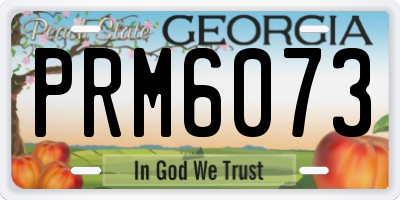 GA license plate PRM6073