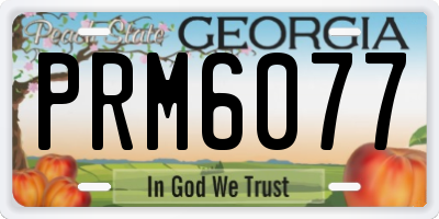 GA license plate PRM6077