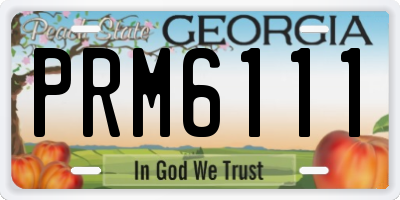 GA license plate PRM6111