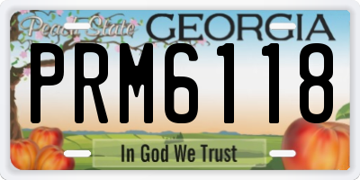 GA license plate PRM6118