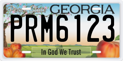 GA license plate PRM6123