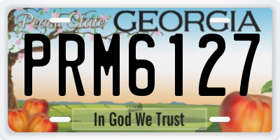 GA license plate PRM6127