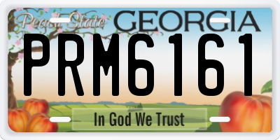 GA license plate PRM6161