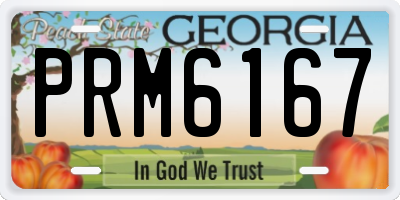 GA license plate PRM6167