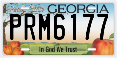 GA license plate PRM6177