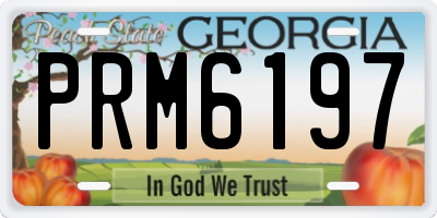 GA license plate PRM6197
