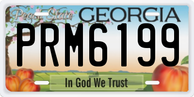 GA license plate PRM6199