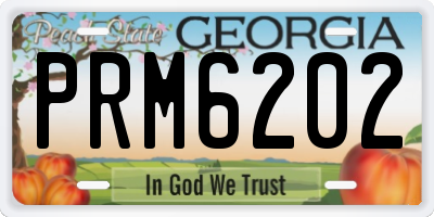 GA license plate PRM6202