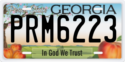 GA license plate PRM6223