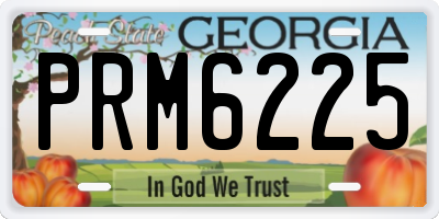 GA license plate PRM6225