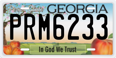 GA license plate PRM6233