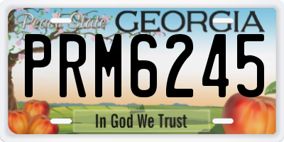 GA license plate PRM6245