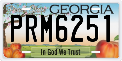 GA license plate PRM6251