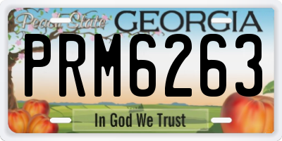 GA license plate PRM6263
