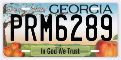 GA license plate PRM6289