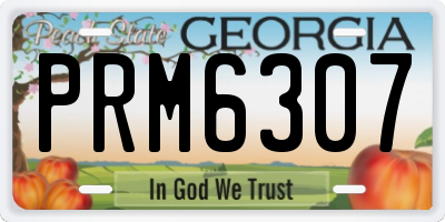 GA license plate PRM6307