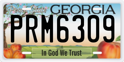 GA license plate PRM6309