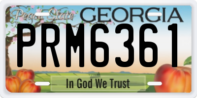 GA license plate PRM6361