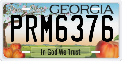 GA license plate PRM6376