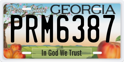GA license plate PRM6387