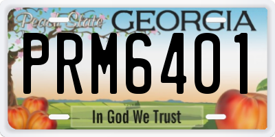 GA license plate PRM6401
