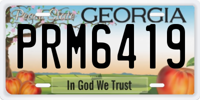 GA license plate PRM6419