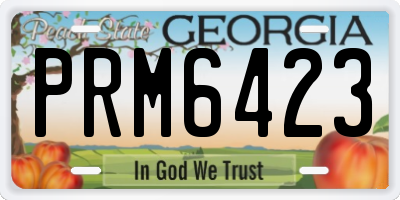 GA license plate PRM6423