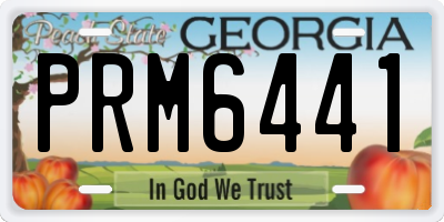 GA license plate PRM6441
