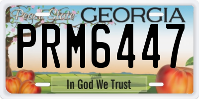 GA license plate PRM6447