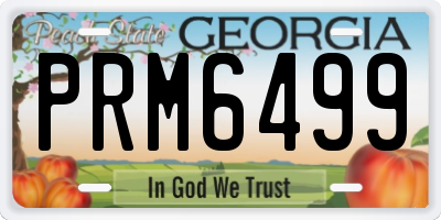 GA license plate PRM6499