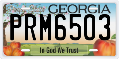 GA license plate PRM6503