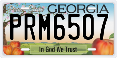 GA license plate PRM6507
