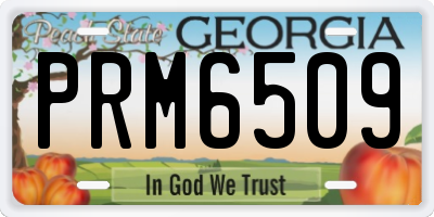 GA license plate PRM6509