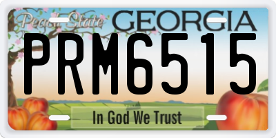 GA license plate PRM6515