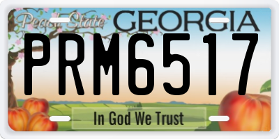 GA license plate PRM6517