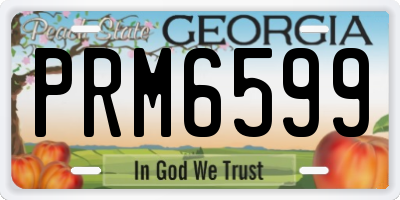 GA license plate PRM6599