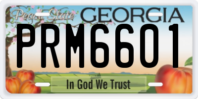 GA license plate PRM6601