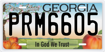 GA license plate PRM6605