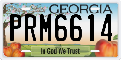 GA license plate PRM6614